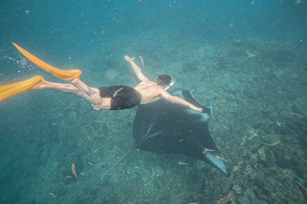 Swim with Manta Rays at Manta Point